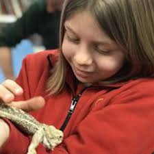 Children's Books in Riverside, RI| Dave Marchetti's Animal Experiences