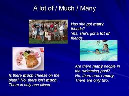 However, in the sentence there is a lot to do, one must use is because the object is the singular noun a lot. A Lot Of Much Many Has She Got Many Friends Yes She S Got A Lot Of Friends Is There Much Cheese On The Plate No There Isn T Much There Is