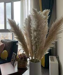 Super Fluffy 3 10stems 35 47 In Super Fluffypampas Grass Etsy Grass Decor Pampas Grass Decor Pampas Grass