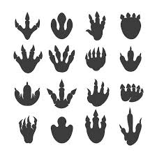 Reptile Or Dinosaur Footprints Dinosaur Footprint Dinosaur Images Dinosaur Tracks