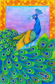 See more ideas about peacock art, peacock, art. Pretty Peacock Drawing By Rebecca Wang