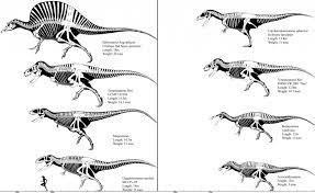 Largest Animals Through The Ages Prehistoric Animals Large Animals Animal Sculptures
