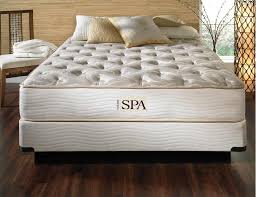 Nature S Spa Dreamline Bedding Paramount Sleep Bed Furniture Market Dreamline