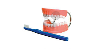 Image result for ochrana chrupu