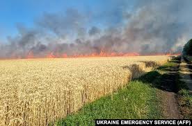 Ukrainian Wheat Burns As Food Crisis Looms