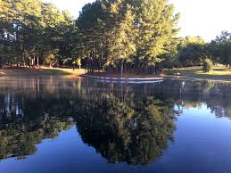 Not a place for those new to disc golf, but a very challenging course for more advanced players. Hornets Nest Park Charlotte Nc Udisc Disc Golf Course Directory