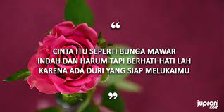 Bunga mawar hd stock images shutterstock. 50 Kata Kata Mutiara Caption Tentang Bunga Juproni Quotes