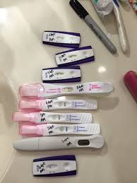 What Does A Positive Pregnancy Test Really Look Like Page 20 The Bump