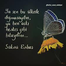 Ya Sen Bu Ulkede Dogmasaydin Ya Ben Aski Herkes Gibi Bilseydim Sukru Erbas Seni Korumak Icin Kaynak Instagram Kultur Sanat Edebiyat Guzel Soz Siir