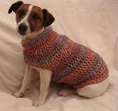 Der besitzer braucht oftmals geduld, um dem hund etwas beizubringen. Jack Russell Dog Jumper Dog Sweater Crochet Pattern Crochet Dog Sweater Crochet Dog