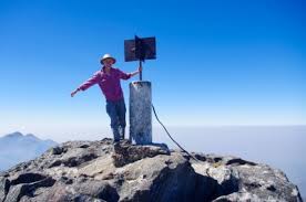 Image result for Dissotis johnstoniana