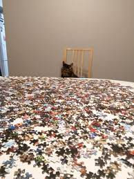 New 3000 piece jigsaw puzzle sealed aquarius 32 in. We Ve Just Started Our 3000 Piece Marvel Avenger S Cast Collage My Husband And I Are Jigsaw Puzzle Rookies Wish Us Luck Jigsawpuzzles