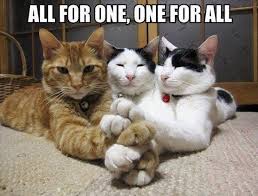 60 New Hot Funniest Cat Memes To Welcome 2021 Funny Cat Memes Funniest Cat Memes Funny Animals Cats are part of our life, we laugh at them so much.cats are so funny you will die laughing.funny and cute!