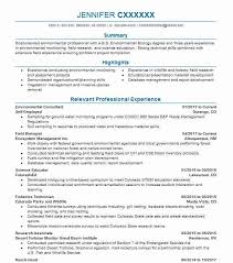 environmental consultant resume example