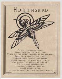 Hummingbird Wisdom Book Of Shadows Animal Spirit Guide Spirit Guides