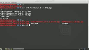 Tutorial Understanding Globalprotect For Linux Youtube