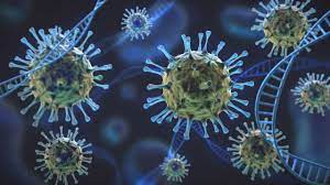 La variante lambda se identificó por primera vez en perú y se ha detectado en muestras de coronavirus que datan de 2020. Variante Andina Lambda Que Se Sabe De La Nueva Variante Que Circula En Varios Paises De Sudamerica Y Por Que Preocupa A La Oms Bbc News Mundo