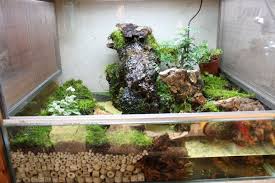 造景資材 水苔上市 美特生態館 台中市 aquascape design aquascape plants
