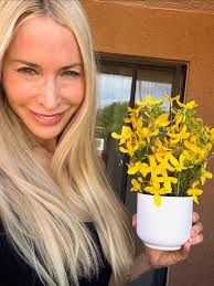 Expert Real Estate Agent Alyssa Wick Brings Results to Scottsdale Home  Sellers