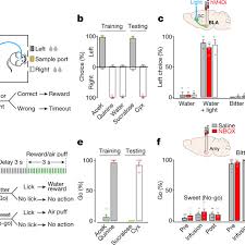 Silencing The Amygdala Does Not Prevent Tastant Recognition