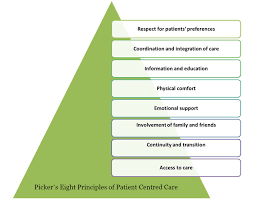 The Eight Principles Of Patient Centered Care Oneview