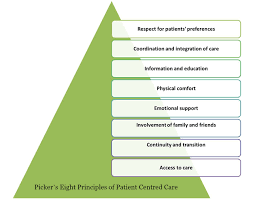 the eight principles of patient centered care oneview