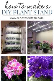 For a smaller shelf or table, i would. How To Grow Plants With Led Lights African Violet Light Stand