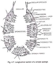 Related image