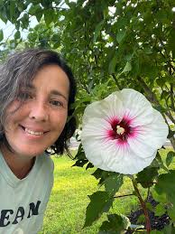 My first perennial hibiscus. Just in awe!