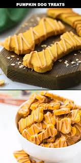 Pumpkin Dog Treats Video Dog Treats Homemade Recipes Healthy Dog Treats Homemade Dog Cake Recipes