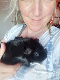 Fundraiser by Luisa Grajales : Please help Luisaville to keep going