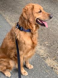 Parker says Hi❤️