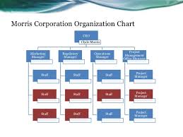 gm591 unit 3 group d assignment morris corporation 2