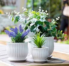 For outdoor pots, you can also add a layer of gravel or pebbles under them. Nattol Ceramic Flower Plant Pots With Saucers Modern Round Ceramic Succulent Planter Pots Wit Ceramic Succulent Planter Planting Flowers White Ceramic Planter