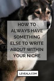 How To Always Have Something Else To Write About Within Your Niche Leveala Com Business Blog Writing Small Business Resources