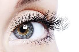 Some Nutrients Useful For Eye Health Nutrients For Eye Health Ad 1 Goz Sagligi Icin Faydali Bazi Besi Eyelashes Make Eyelashes Grow How To Grow Eyelashes