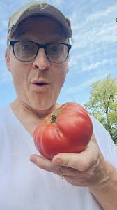Beefsteak tomatoes showing off today. First big harvest of the year. How is  your harvest going?