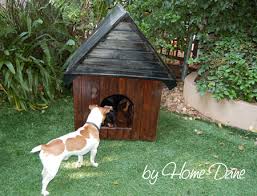 Kennel and run from woodworx modern design building a dog kennel diy dog kennel diy dog run. Home Dzine Home Diy Diy Dog Kennel