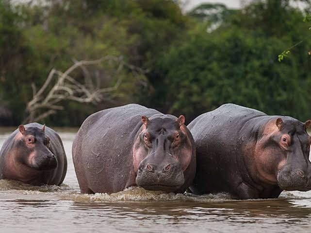 images?q=tbn:ANd9GcRVWDq3oCmvS2xaJloo3Da