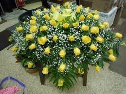 Yellow Rose C32 Casket Spray In South Bend In Patricia Ann Florist