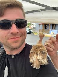 Apparently it said a lot. Check out the four DJ songs at the end of the  chat.