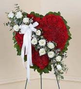 We did not find results for: Red Sox B Funeral In East Providence Ri P J Florist
