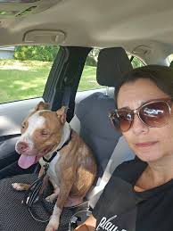 Who is the owner of the found dog in Scott Depot?