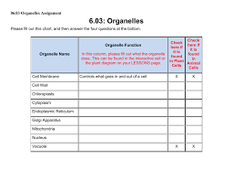 06 03 Organelles Assignment