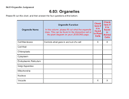 06 03 organelles assignment