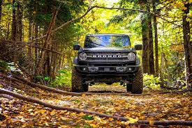 Image result for Fawn 1981 Bronco