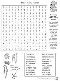 Printables Shop Cells Worksheet Science Worksheets Biology Worksheet