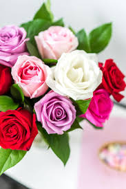 One of from you flowers most prized qualities is their while from you flowers does their best to arrange their floral bouquets exactly as pictured on the just trash experience. One Dozen Assorted Valentine S Day Roses At From You Flowers Hot Pink Roses Flowers For You Same Day Flower Delivery