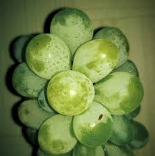 Grapes In Pregnancy: The Ultimate Guide To Benefits & Precautions |  Mylofamily