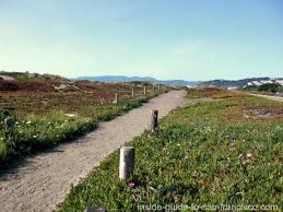 Not only is it more pleasant to spend time at a clean beach, but a clean beach means less trash makes it into the ocean. Ocean Beach San Francisco A Local S Guide To The Beach